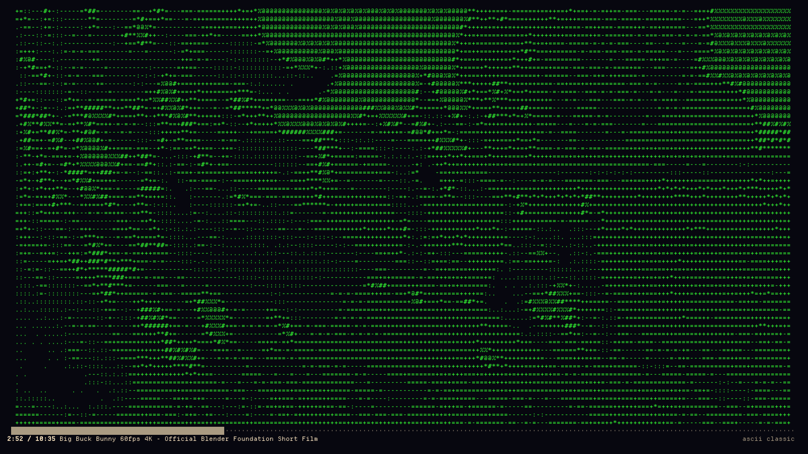 The same frame as green monochrome ASCII characters