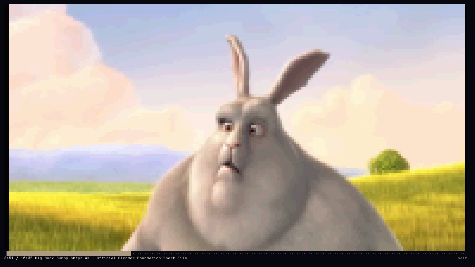 The same frame rendered with half-block characters, near photographic